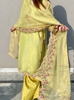 3 Piece Dress with Embraided Dupatta